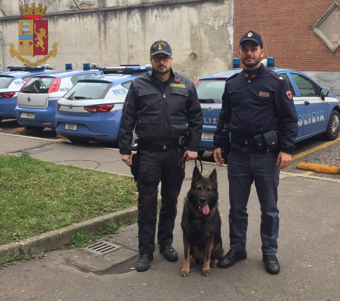 Scuole sicure, cani antidroga a Gallarate: segnalati due studenti