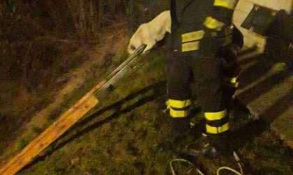 I Vigili del fuoco liberano e salvano un cane