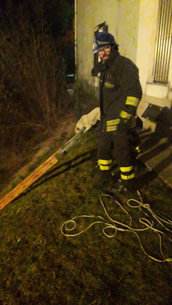 I Vigili del fuoco liberano e salvano un cane