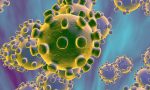 Coronavirus: per il 10% dei casi necessaria la terapia intensiva