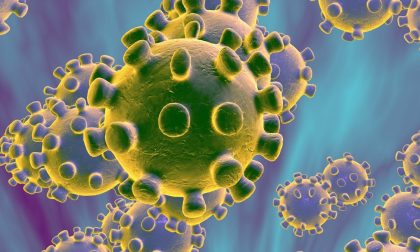 Coronavirus 17 luglio, 55 positivi e quasi la metà solo "debolmente". Varese +4