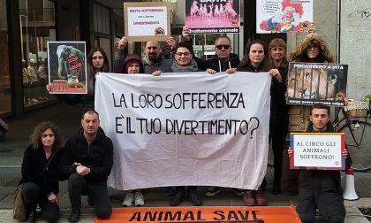 Animal save protesta: "No al circo con gli animali"