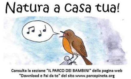 Non si esce di casa, si trasferisce il Parco Pineta: racconti e lavoretti da fare in famiglia