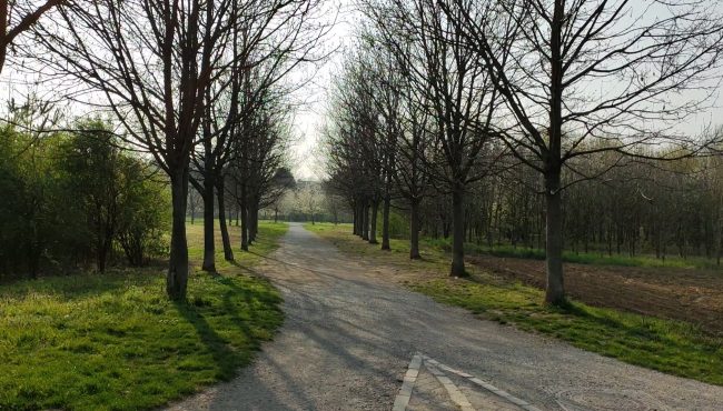 Domani torna Cammina Foreste Urbane