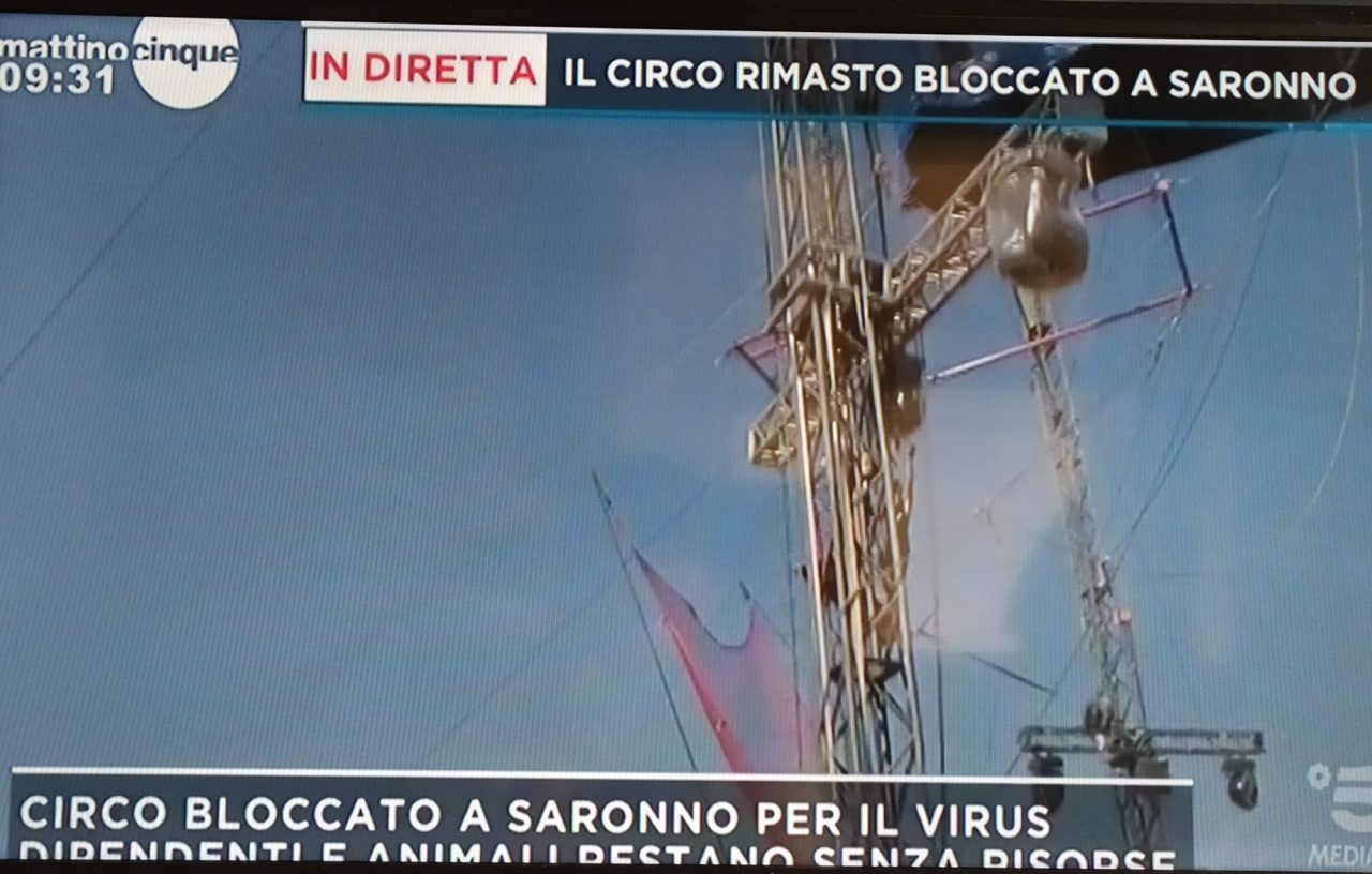 Circo bloccato a Saronno: il caso arriva in tv