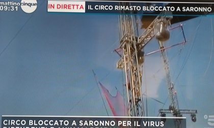 Circo bloccato a Saronno: il caso arriva in tv