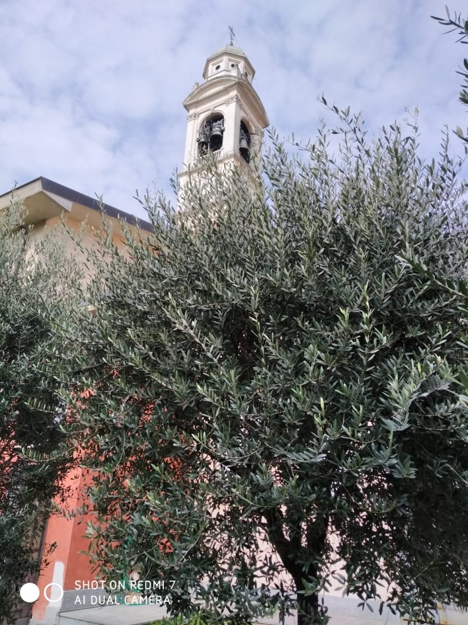 Il prevosto di Tradate benedice gli ulivi della casa parrocchiale
