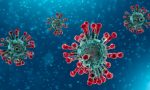 Coronavirus 11 maggio: +364 casi positivi, a Varese +14. A Como solo 8 nuovi casi