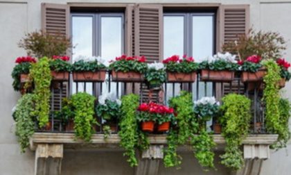 Balconi fioriti, prime iscrizioni al concorso di Coldiretti
