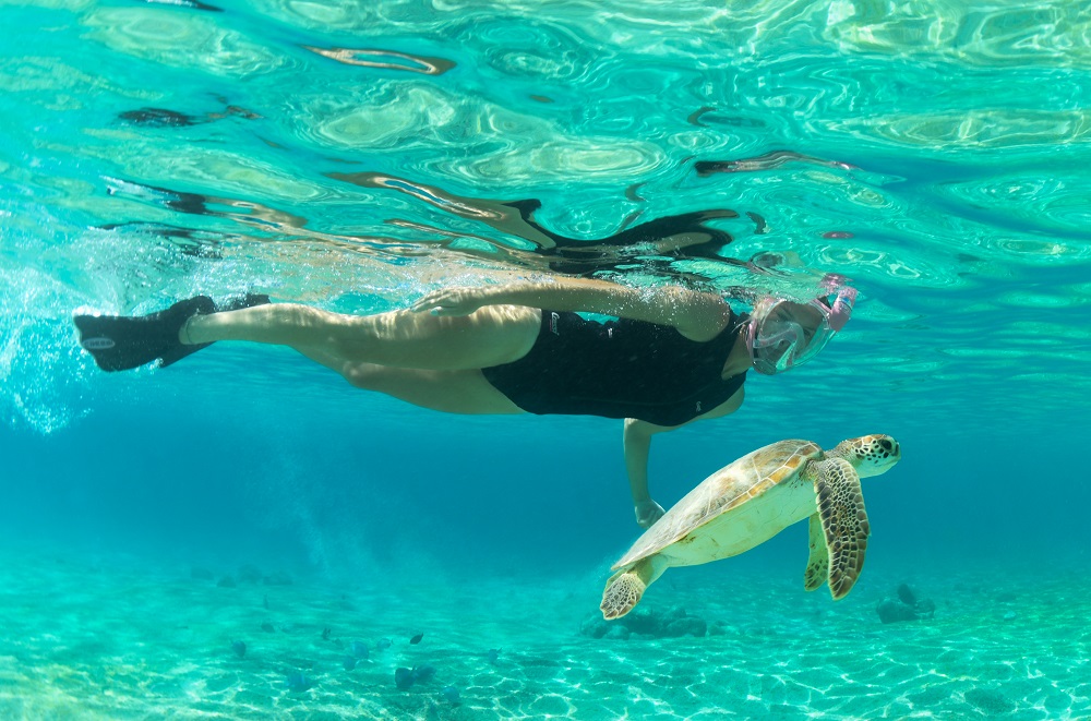 Consegnate maschere Cressi da Snorkeling a Limido