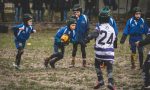 AMATORI TRADATE RUGBY Si torna in campo per gli allenamenti... online