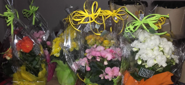 Festa mamma fiori a infermiere e dottoresse dall’Amor sportiva di Saronno