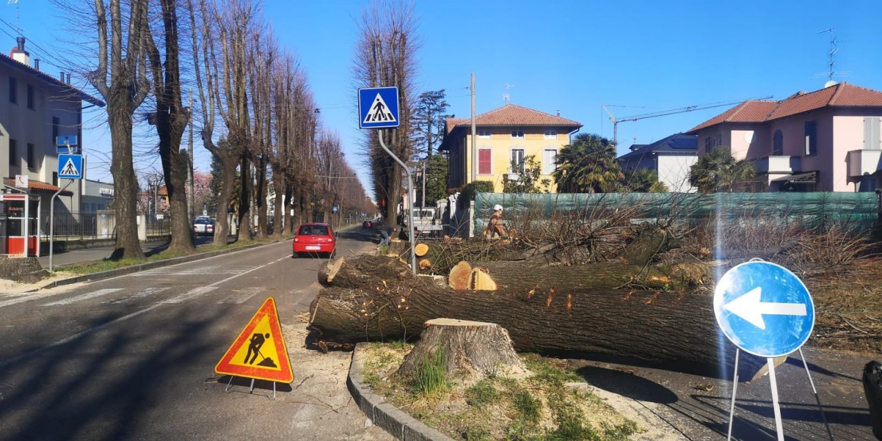 Tradate, iniziano i lavori per la rotonda di via Crestani