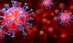 Coronavirus 23 novembre: quasi 20mila tra dimessi e guariti, scendono i ricoveri