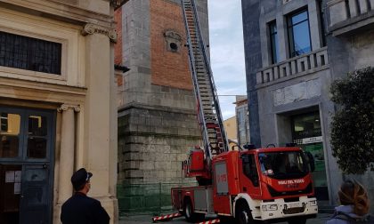 I carabinieri salvano due gheppi intrappolati nel campanile