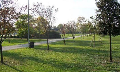 Webinar: I nuovi Criteri Ambientali Minimi per l’appalto di gestione del verde urbano