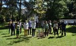 Giornata mondiale dell'ambiente,  piantato un albero nel parco di viale Rimembranze