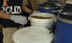 450 chili di hashish e marijuana sequestrati nell'azienda di cannabis light di Fenegrò VIDEO