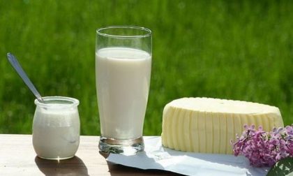 Derivati del latte: l’etichetta resta obbligatoria