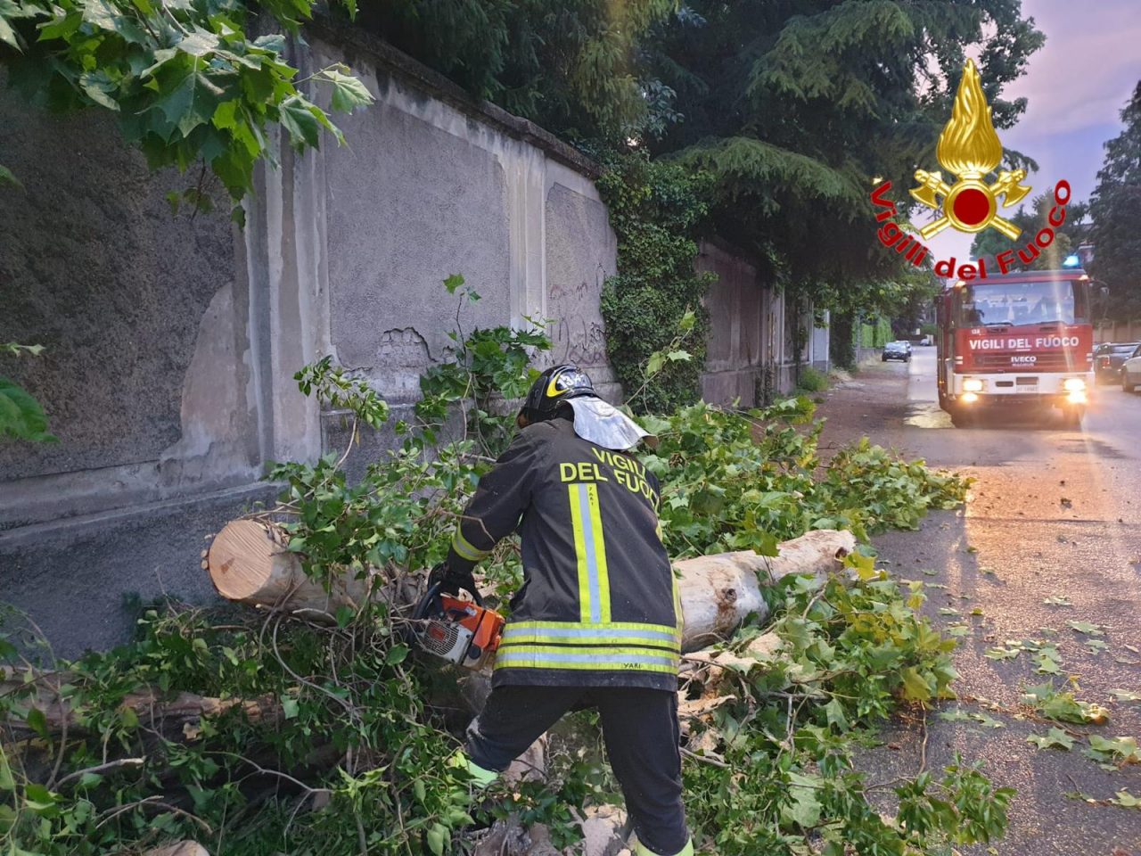 Alberi piegati dalla pioggia: pompieri in azione nel Tradatese
