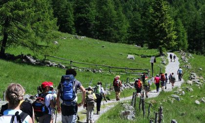 Varese, verso una stagione turistica “green”  fra trekking, percorsi in bici e riscoperta del bosco