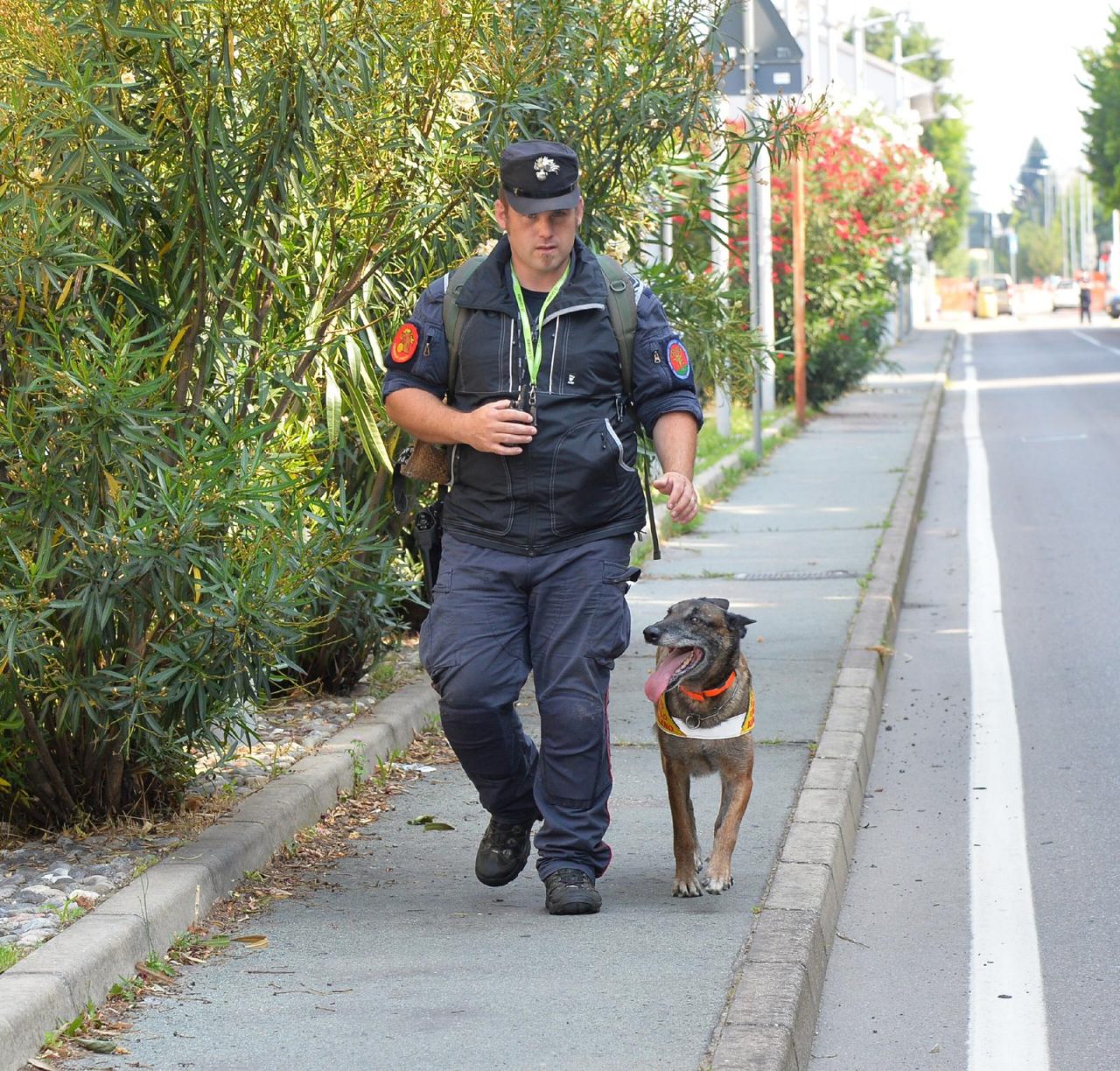controlli anti bocconi avvelenati a Gallarate e Cazzago Brabbia