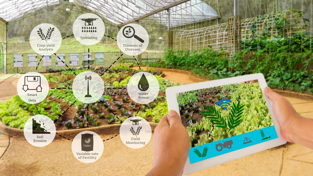 Banda larga in ritardo, l’innovazione è impossibile. Anche in agricoltura