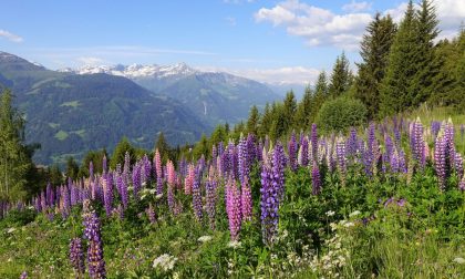 Il comune organizza una settimana dedicata all'ambiente