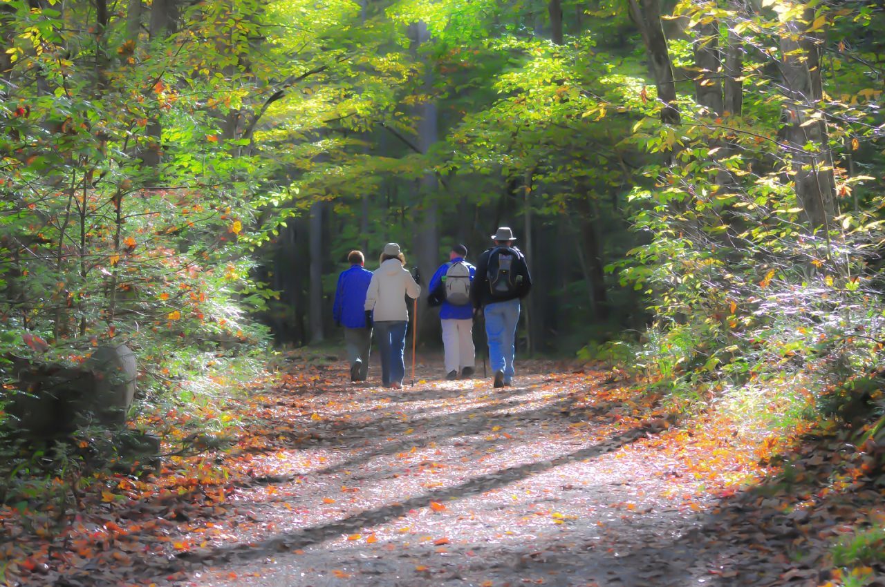 Gerenzano, un’associazione per camminare insieme in paese
