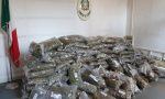 100 chili di marijuana, dalla Sardegna a Cantello: arrestato un corriere 39enne VIDEO