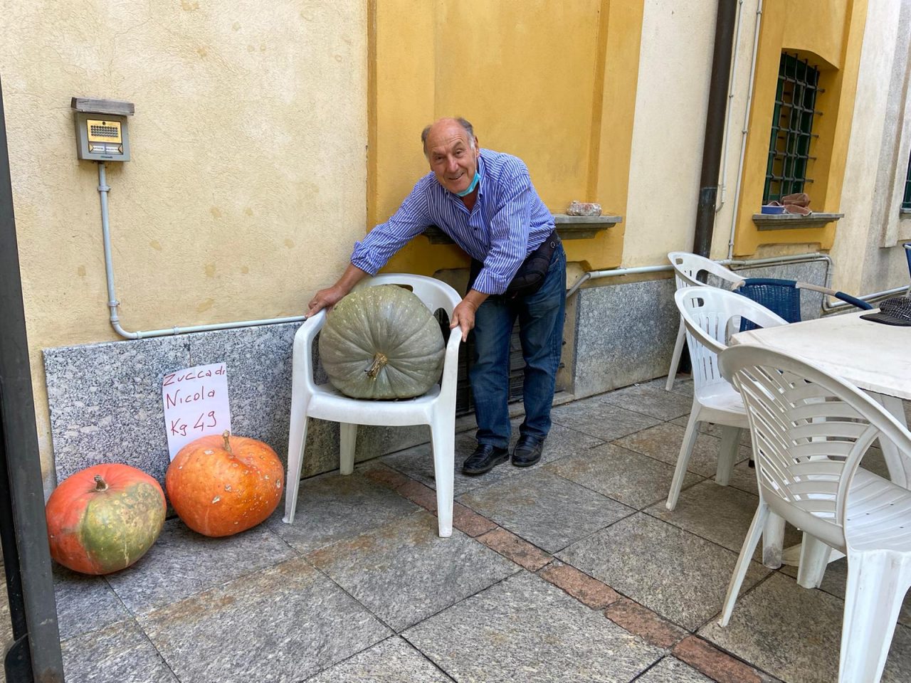Villa Molina, ecco  una zucca da quasi 50 chili