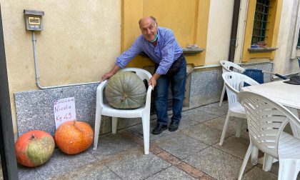 Villa Molina, ecco  una zucca da quasi 50 chili