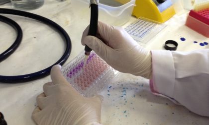 Biotech Week, partecipa anche l'Università dell'Insubria