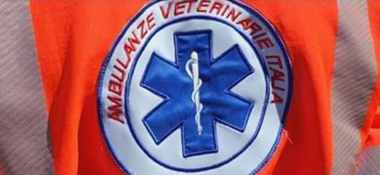 Ambulanze veterinarie cerca volontari e presenta il corso