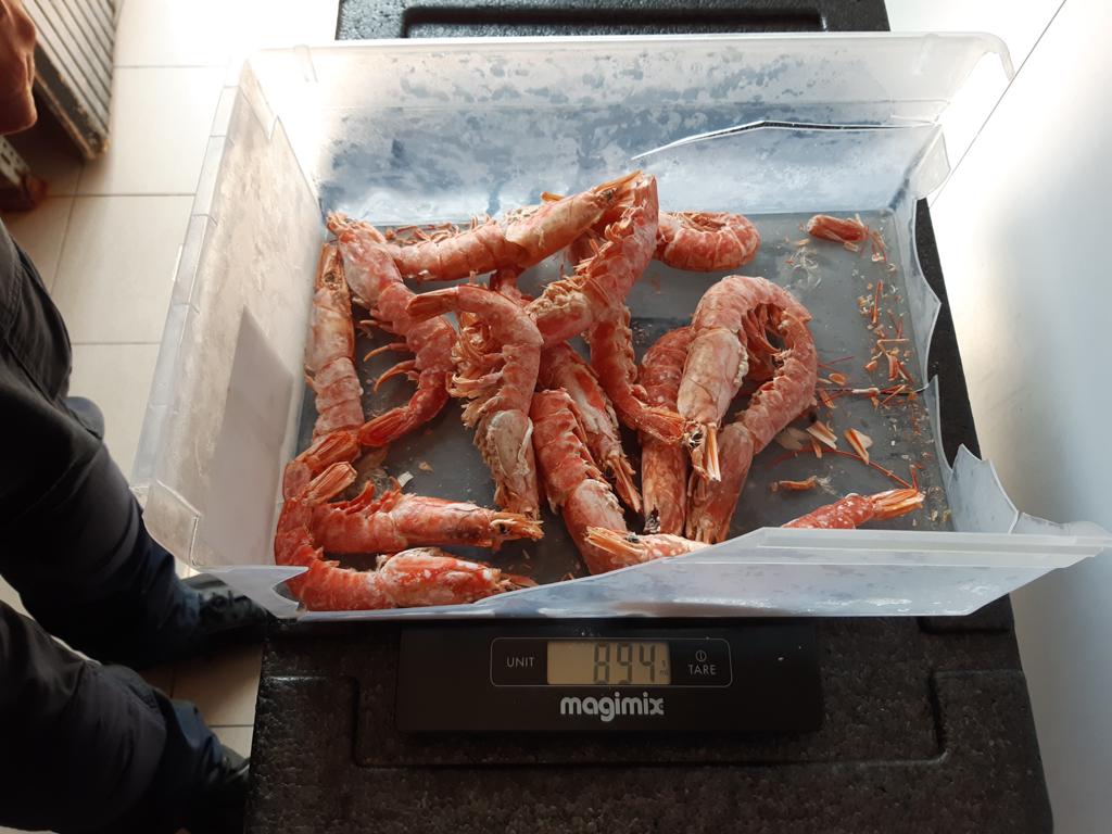 Gamberi malconservati e attrezzature arrugginite: sanzionato un ristorante sushi di Varese