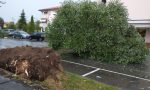 Bufera sul Tradatese, crollati gli alberi di via Rossini alle Ceppine FOTO E VIDEO