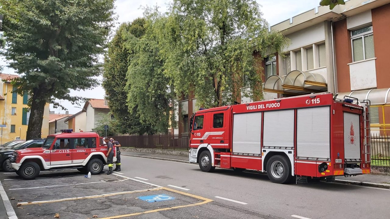Nido di vespe a scuola, arrivano i pompieri