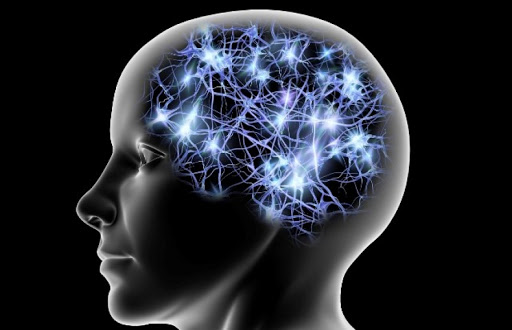 Insubria: una giornata di studio e scoperta del cervello e delle sue patologie