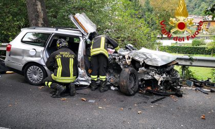 Perde il controllo dell'auto e si schianta contro la pianta e il guard- rail