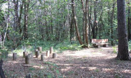 Giornata di Custodia dei Parchi, mercoledì tappa sul Sentiero delle Tracce di Venegono