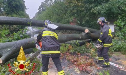 Maltempo: superati i cento interventi dei Vigili del fuoco nella notte