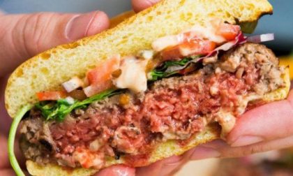 Coldiretti contro gli hamburger vegani e la finta carne: "Marketing ingannevole"