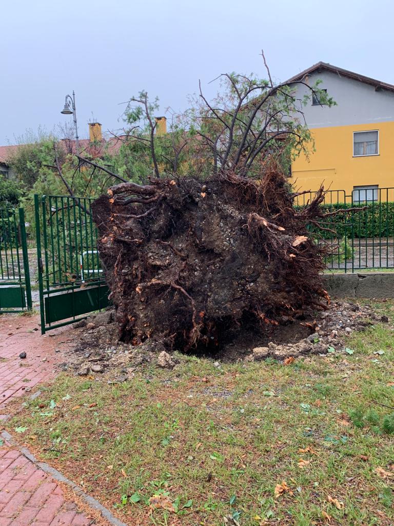 A due mesi dalla bufera di vento il Pd interroga il Comune: “Il rione Ceppine è stato messo in sicurezza?”