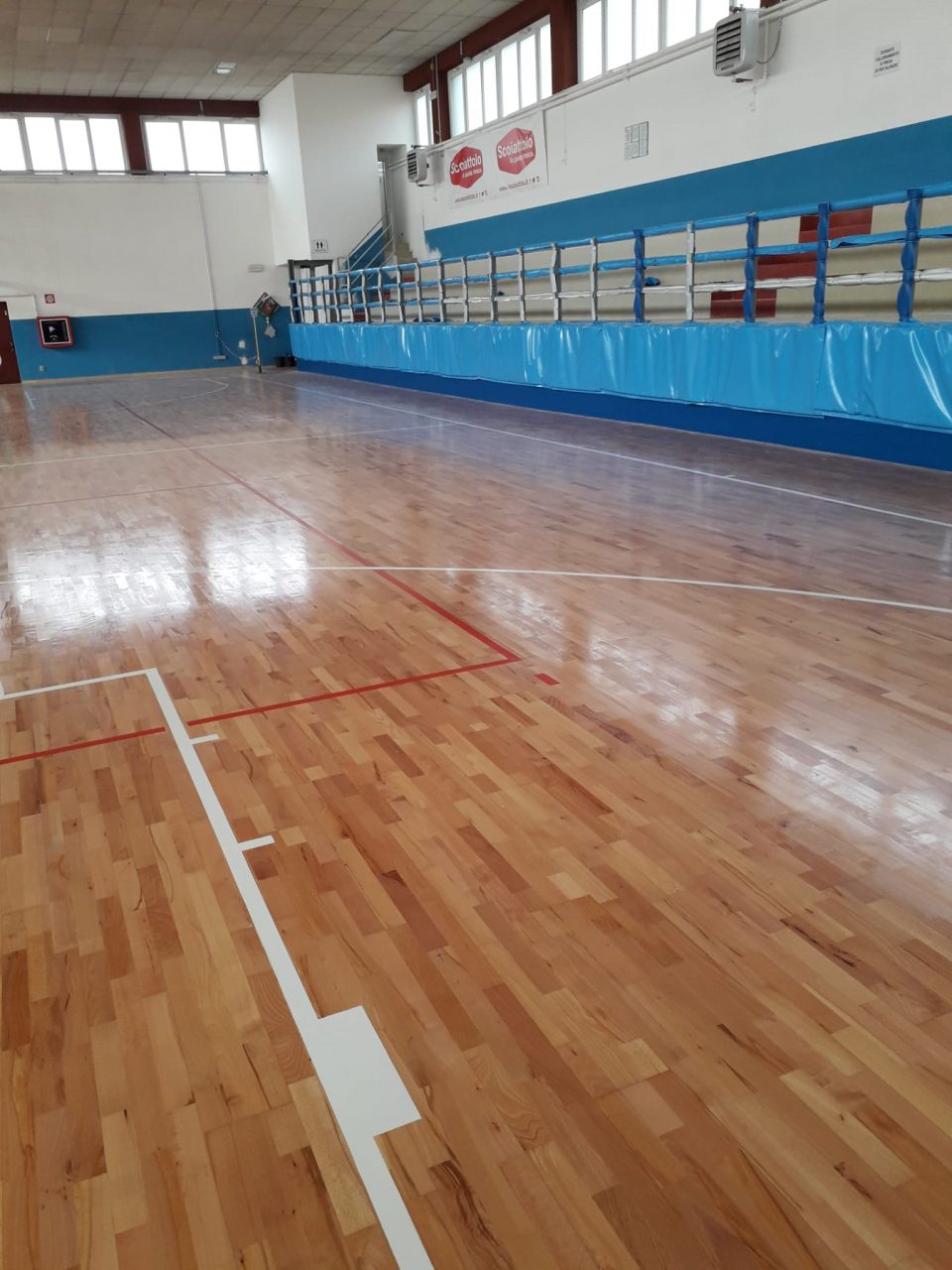 basket venegono