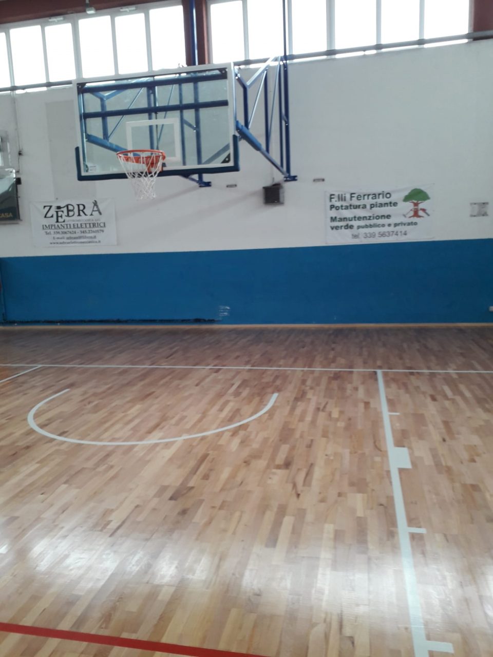 basket venegono