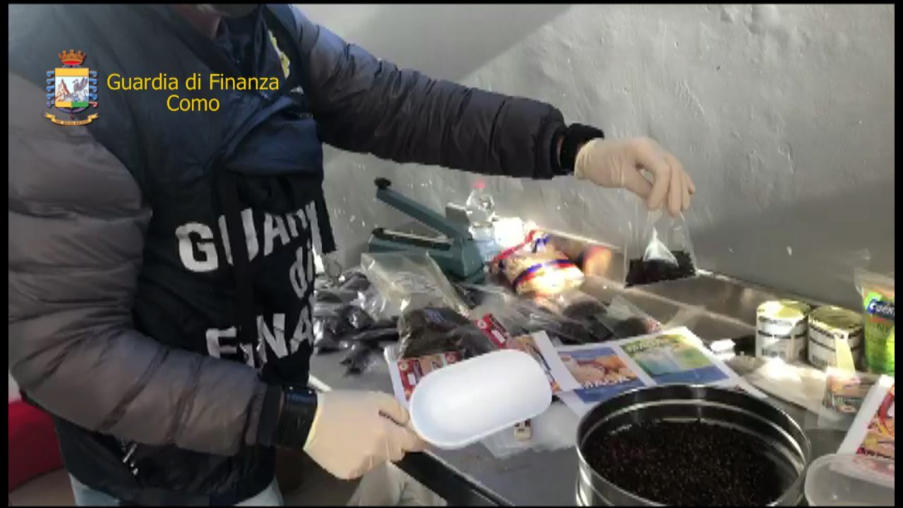 alimenti scaduti e mal conservati