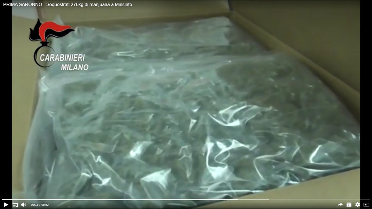 marijuana nel capannone di misinto
