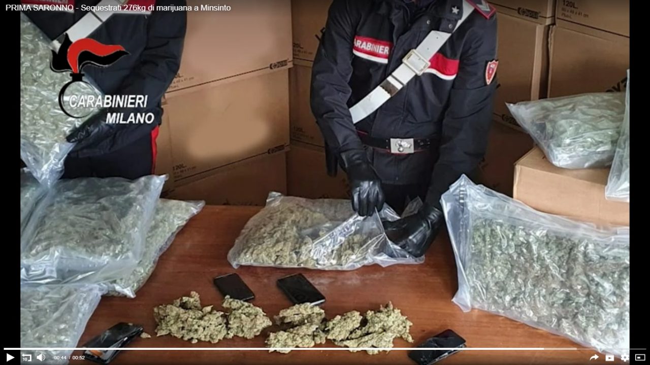 marijuana nel capannone di misinto