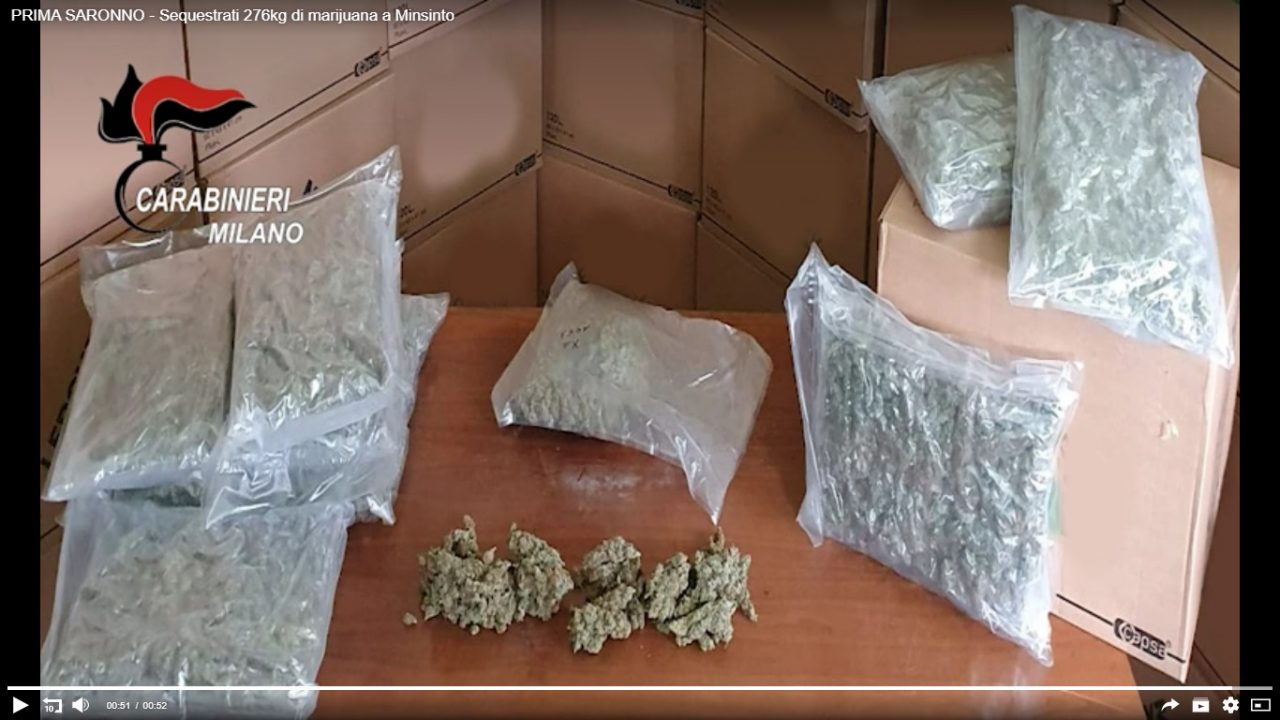 276 chili di marijuana nel capannone di Misinto, 5 arresti FOTO E VIDEO