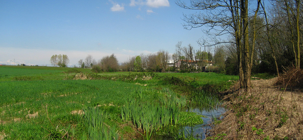 L’allarme del Parco dei Mughetti: «Troppi episodi  di bracconaggio»